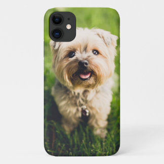 Funda Para iPhone 11 Diseñe su propia imagen personalizada de fotos en 