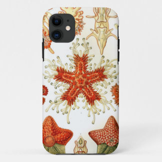 Funda Para iPhone 11 Diseños comunes de las estrellas de mar