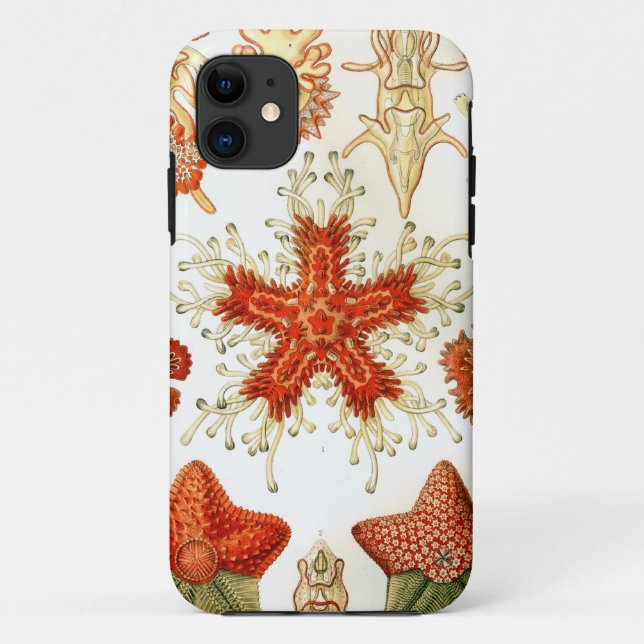 Funda De Case-Mate Para iPhone Diseños comunes de las estrellas de mar (Reverso)
