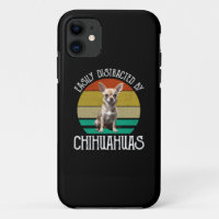 Distrado Fácilmente Por Chihuahuas