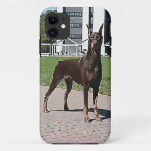 title_seo2 Doberman rojo (v11-1)