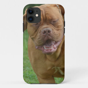 title_seo2 Dogue de Bordeaux