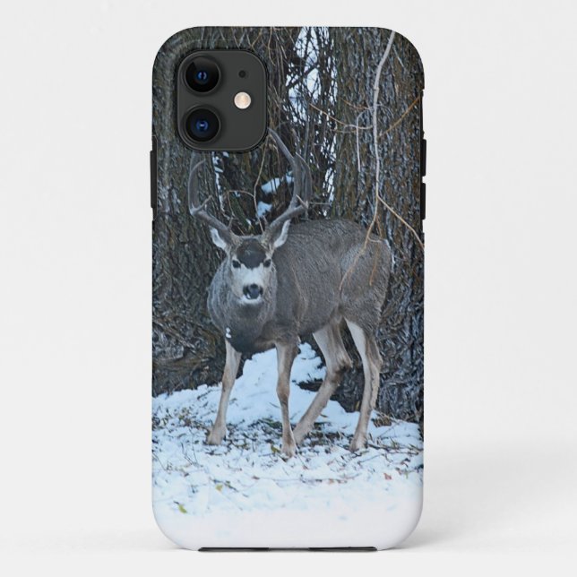 Funda De Case-Mate Para iPhone Dólar alto del estante (Reverso)