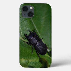 Funda Para iPhone 13 Dorcus parallelipipedus , el escarabajo de menor t