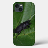 Dorcus parallelipipedus , el escarabajo de menor t