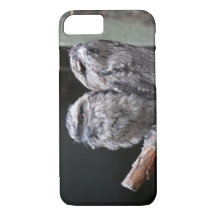 Dos Aves Tawny Frogmouth