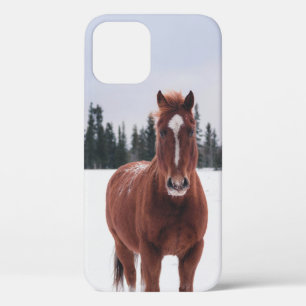FUNDA PARA iPhone 12 DOS CABALLOS EN NIEVE