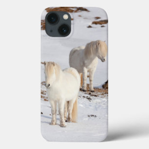 Funda Para iPhone 13 Dos caballos islandeses blancos
