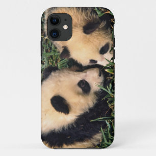 Funda Para iPhone 11 Dos cachorros de panda en el arbusto de bambú, Wol