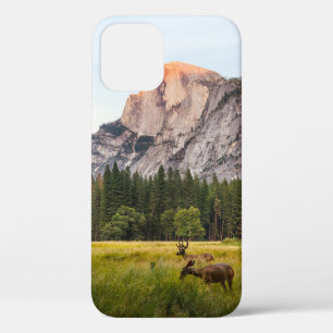 FUNDA PARA iPhone 12 DOS CERDOS FRENTE A LA MITAD DE CÓDIGO EN EL VALLE