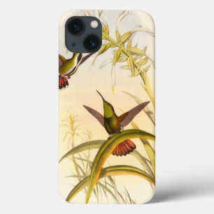 Funda Para iPhone 13 Dos colibríes coloridos con la misma flor