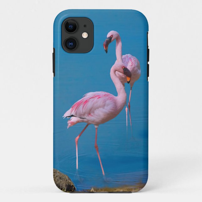 Funda De Case-Mate Para iPhone Dos flamencos rosados (Reverso)