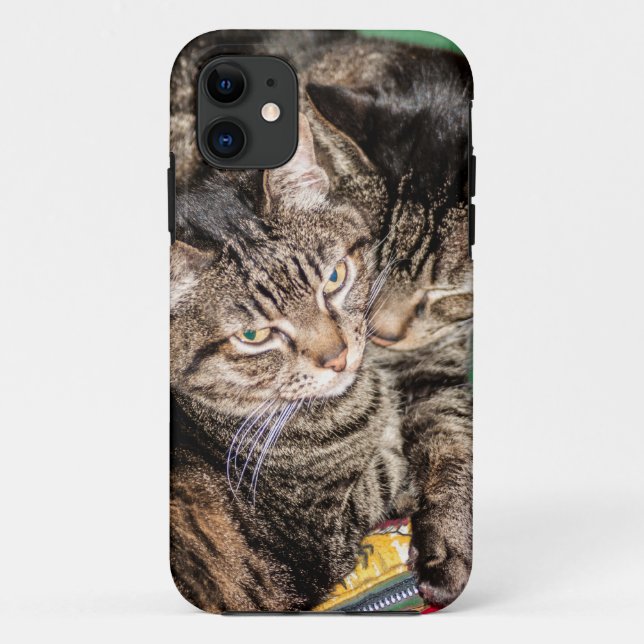 Funda De Case-Mate Para iPhone Dos gatos sonando (Reverso)