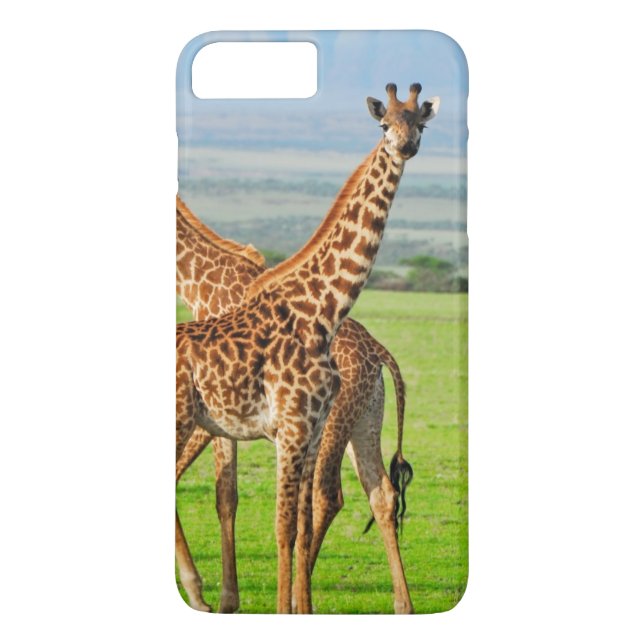 Funda De Case-Mate Para iPhone Dos jirafas (Reverso)