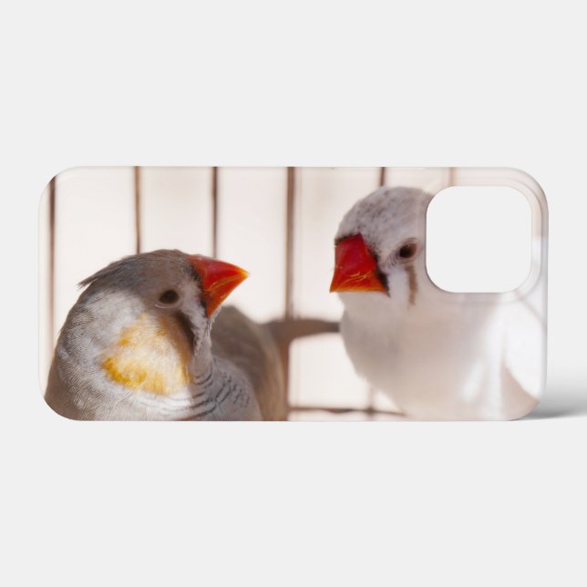 Funda De Case-Mate Para iPhone Dos pájaros fincos en jaula (Reverso (Horizontal))