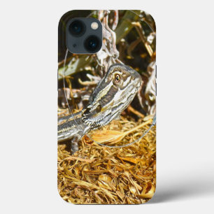 Dragón Funny Bearded Dragon, Funda para iPhone 13