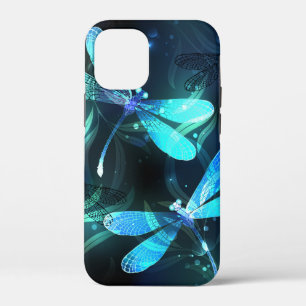title_seo2 Dragonflies
