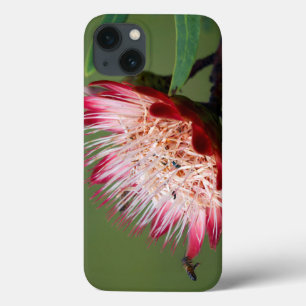 Funda Para iPhone 13 Drakensberg Sugarbush (Protea Dracomontana)