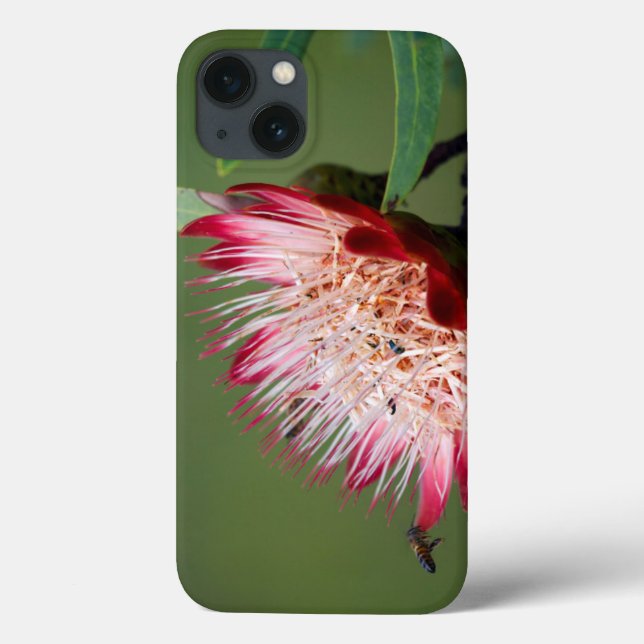 Funda De Case-Mate Para iPhone Drakensberg Sugarbush (Protea Dracomontana) (Reverso)