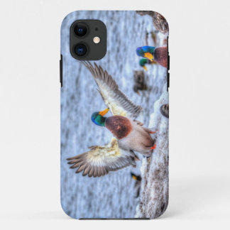 Funda Para iPhone 11 Drama de pato de Mallard para aterrizar 5 Foto de