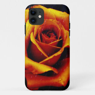 Funda Para iPhone 11 Drama Del Naranja Rosa iPhone 5 Funda