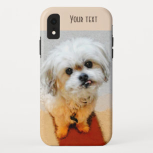 Funda Para iPhone XR Dulce Malshi