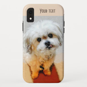 Funda Para iPhone XR Dulce Malshi