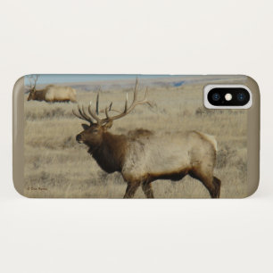 title_seo2 E55 Bull Elk Big Bull