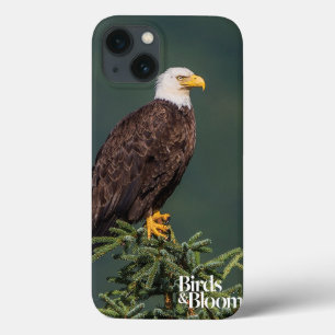 Funda Para iPhone 13 Eagle calvo real