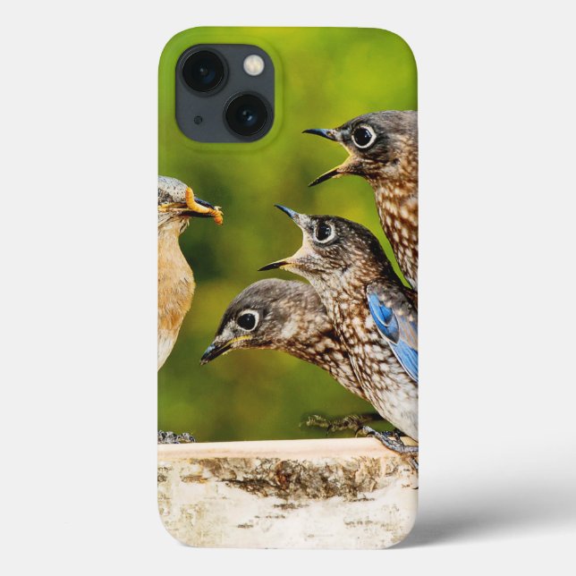 Funda De Case-Mate Para iPhone Eastern Bluebird (Reverso)
