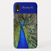 Editable orgullo Peacock Blues y Verdes