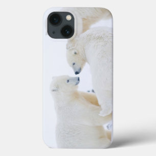 Funda Para iPhone 13 EE.UU., Alaska, 1002 Llanura costera del Ártico