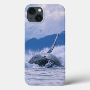 Funda Para iPhone 13 EE. UU., Alaska, Bosque Nacional Tongass, Jorobado