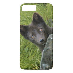 Funda Para iPhone 8 Plus/7 Plus EE.UU., Alaska, Islas Pribilof, St Paul. Azul