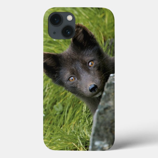 Funda De Case-Mate Para iPhone EE.UU., Alaska, Islas Pribilof, St Paul. Azul (Reverso)