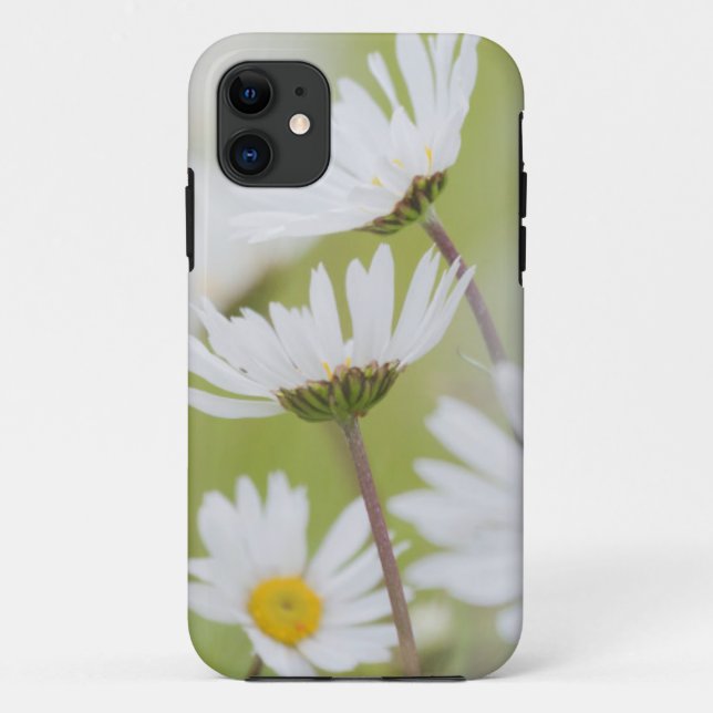 Funda De Case-Mate Para iPhone EE. UU., Alaska, Parque Nacional Glacier Bay (Reverso)