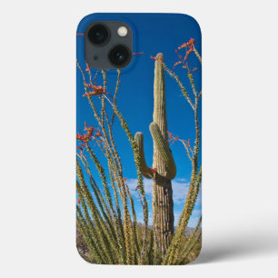 Funda Para iPhone 13 EE.UU., Arizona. Cactus En El Parque Nacional De S