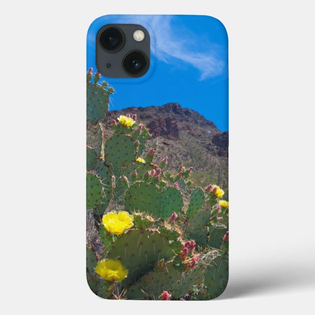 Funda De Case-Mate Para iPhone EE. UU., Arizona. Cactus en las colinas (Reverso)