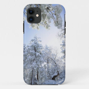 Funda Para iPhone 11 EE. UU., California, Bosque Nacional Cleveland,