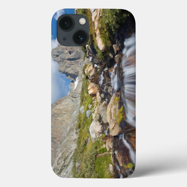 Funda De Case-Mate Para iPhone EE. UU., California, Bosque Nacional Inyo 14 (Reverso)