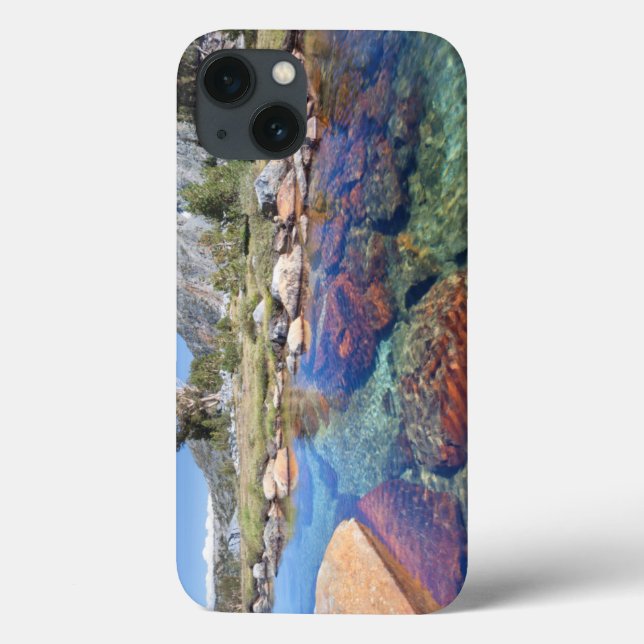 Funda De Case-Mate Para iPhone EE. UU., California, Bosque Nacional Inyo 4 (Reverso)