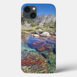 title_seo2 EE. UU., California, Bosque Nacional Inyo 4
