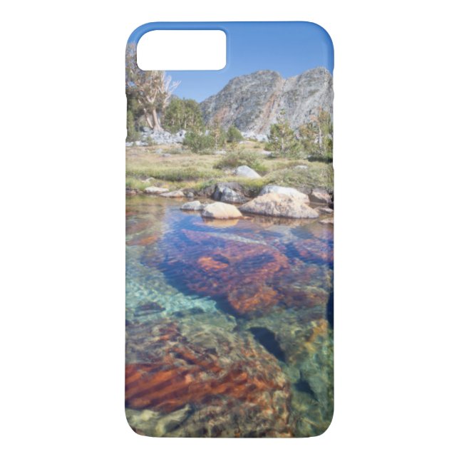 Funda De Case-Mate Para iPhone EE. UU., California, Bosque Nacional Inyo 4 (Reverso)