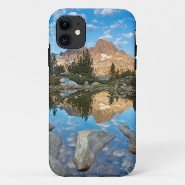 Funda De Case-Mate Para iPhone EE. UU., California, Bosque Nacional Inyo 5 (Reverso)