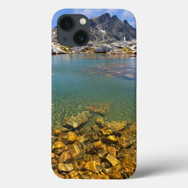 Funda De Case-Mate Para iPhone EE. UU., California, Bosque Nacional Inyo 8 (Reverso)