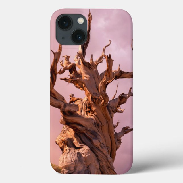 Funda De Case-Mate Para iPhone EE. UU., California, Bosque Nacional Inyo 9 (Reverso)