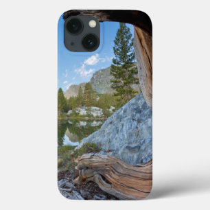 title_seo2 EE. UU., California, Bosque Nacional Inyo. Pino Vi