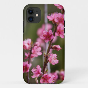 Funda Para iPhone 11 EE. UU., California. Flores rosadas en un árbol