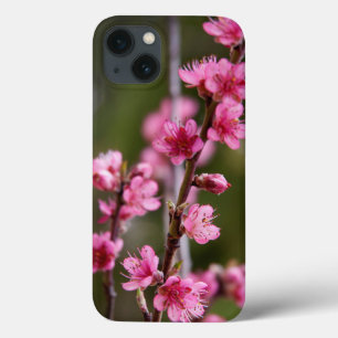 Funda Para iPhone 13 EE. UU., California. Flores rosadas en un árbol