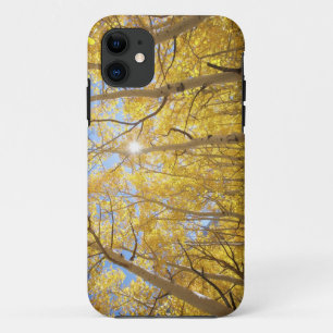 Funda Para iPhone 11 EE. UU., California, Montañas de la Sierra Nevada.